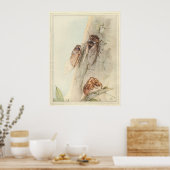 THE CICADA - Illustration des Insektenbuchs Poster (Küche)