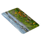 The Claddagh (Galway Bay) in Galway, Irland Magnet (Rechte Seite)