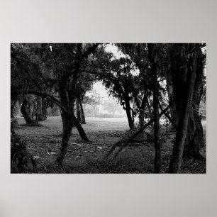 The Clearing - Schwarzweiß-Waldlandschaft Poster