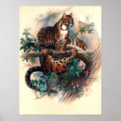 The Clouded Tiger Poster (Vorne)