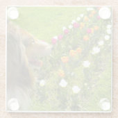 The Collie N the Tulips Trinket Box Glasuntersetzer (Rückseite)