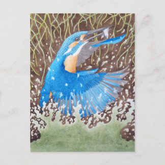 The Common Kingfisher Postkarte