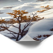 The Conflict Poster (Ecke)