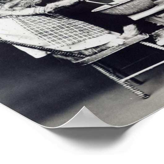 The Cook Cat Funny Harry Whittier Frees 1914 Poster (Ecke)