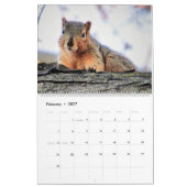 The Cover Eichhörnchen 2020 Calendar Kalender (Feb 2027)
