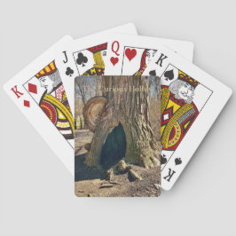 The Curious Hollow Spielkarten