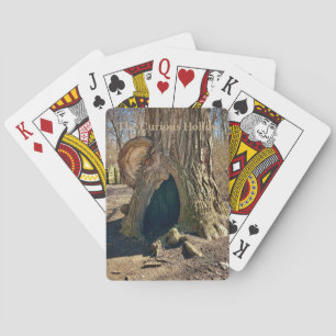 The Curious Hollow  Spielkarten