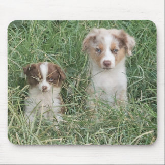 The Cuteness Never Stops Mousepad