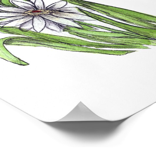 The Daisy Inspector Poster (Ecke)