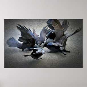 The Dance of the Crows Poster