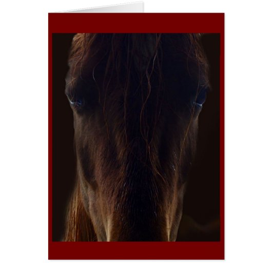 The dark horse card (Vorne)