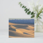"the desert sun" "sand dunes""sand color" postkarte (Stehend Vorderseite)