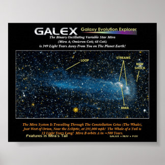 The Detailed Star Mira with Tail, The Binary Os... Poster