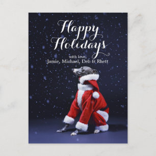 The dog sits putting on Father Christmas Feiertagspostkarte