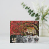 The Dogs of the Inn Postcard Postkarte (Stehend Vorderseite)