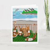 The Dolphin 🐬 And The Penguins 🐧 Karte (Vorderseite)