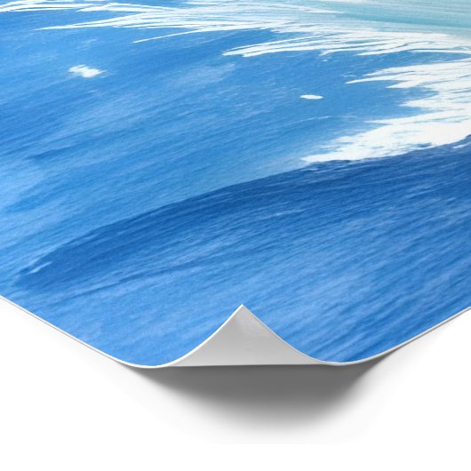 The Dolphin’s Silent Dance Poster (Ecke)