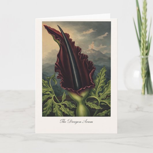 The Dragon Arum — Modern Botanical Reinterpretatio Karte (Vorderseite)