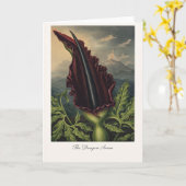 The Dragon Arum — Modern Botanical Reinterpretatio Karte (Gelbe Blume)