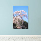 The droop cherry blossom "Matabei Zakura" Leinwanddruck (Insitu (Holzboden))