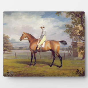 The Duke of Hamilton's Disguise with Jockey Up (oi Fotoplatte