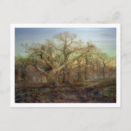 The Edge of Sherwood Forest, 1878 Postkarte (Vorderseite)