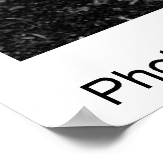 The Egret Feather von TDGallery Poster (Ecke)