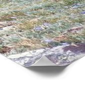 The Elks Club Poster (Ecke)