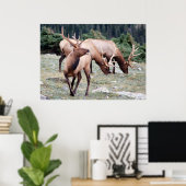 The Elks Club Poster (Heimbüro)