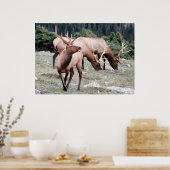 The Elks Club Poster (Küche)