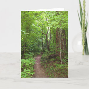 The Enchanted Forest (3) Greeting Cards Karte