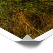 The Evening Glow of Greystones Coast Poster (Ecke)