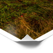 The Evening Glow of Greystones Coast Poster (Ecke)