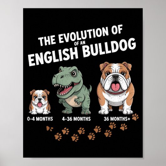 The Evolution Of An English Bulldog Funny  Poster (Vorne)