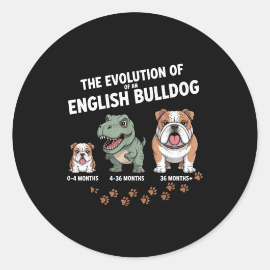 The Evolution Of An English Bulldog Funny Runder Aufkleber (Vorderseite)