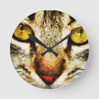 The expressive look of a domestic cat runde wanduhr