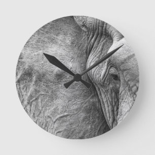 The eye of an elephant runde wanduhr