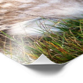 The Fallow Deer of the Glen Fotodruck (Ecke)