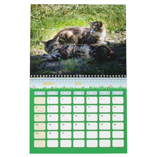 The Feral LIfe Foto Cats 2025 Calendar Kalender (Mär 2026)