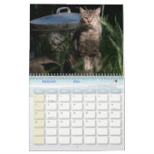 The Feral LIfe Foto Cats 2025 Calendar Kalender (Feb 2026)