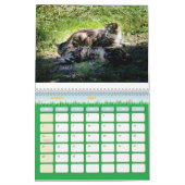 The Feral LIfe Foto Cats 2025 Kalender (Mär 2027)