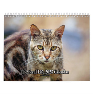 The Feral LIfe Foto Cats 2025 Kalender