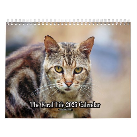 The Feral LIfe Foto Cats 2025 Kalender (Titelbild)
