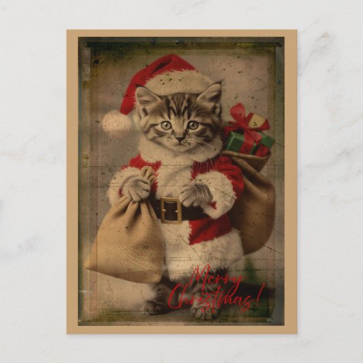 The 'Festive Folly' Kitten Christmas Postcard Postkarte (Vorderseite)