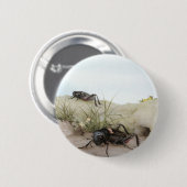 THE FIELD-KRICKET BUTTON (Vorne & Hinten)