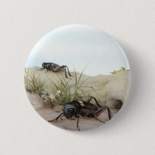THE FIELD-KRICKET BUTTON