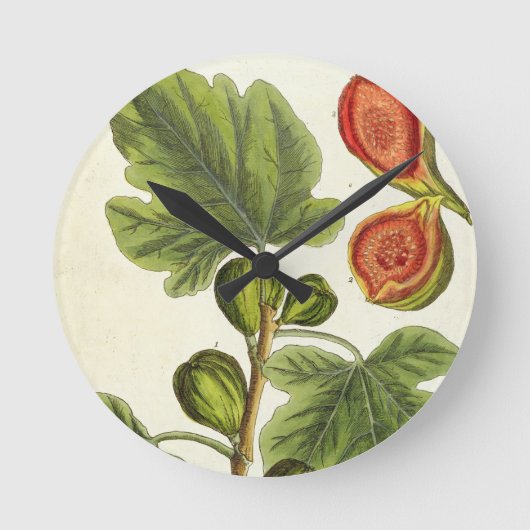 The Fig Tree, plate 125 from 'A Curious Herbal', p Runde Wanduhr (Vorderseite)