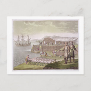 The fishing industry, Newfoundland, from 'Le Costu Postkarte