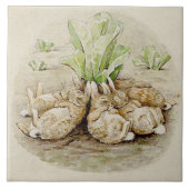 The Flopsy Bunnies Asleep (von Beatrix Potter) Fliese (Vorderseite)