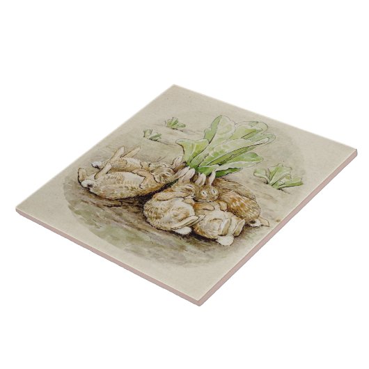 The Flopsy Bunnies Asleep (von Beatrix Potter) Fliese (Seite)
